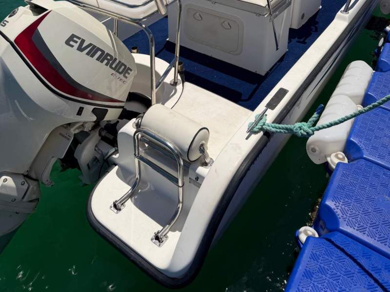 Ocean Whaler 565 2007 Ocean Whaler 565 115Hp Evinrude Etec Cray