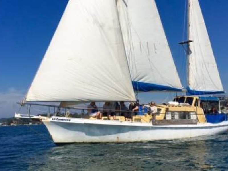 Hartley South Seas Fire Sale