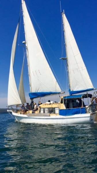 Hartley South Seas Fire Sale