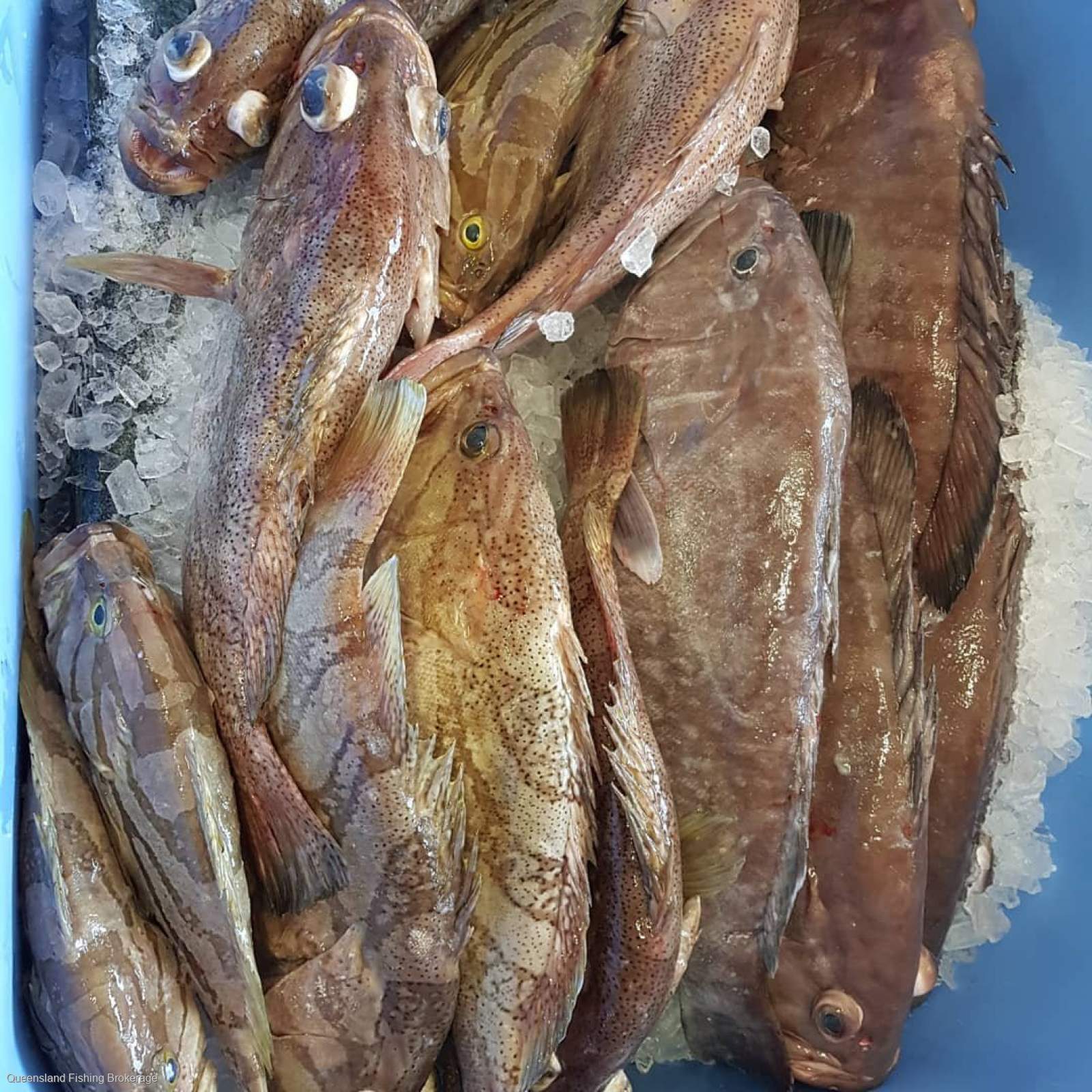 LS713 L8 Symbol For Sale