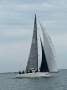 Melges 32