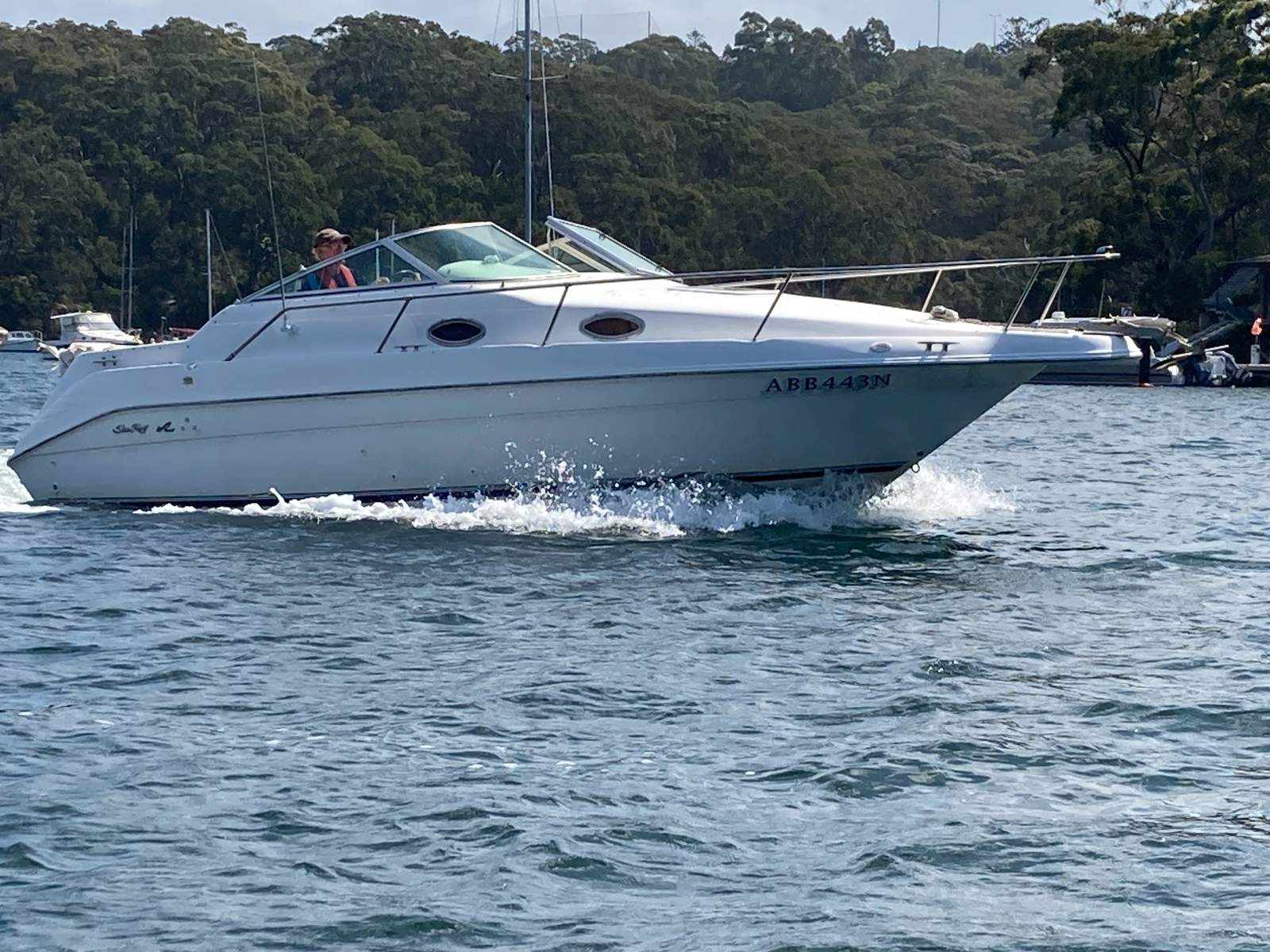 Sea Ray 250 DA Fun Fast Mooring Possible (Sydney Harbour)