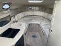Sea Ray 250 DA Fun Fast Mooring Possible (Sydney Harbour)