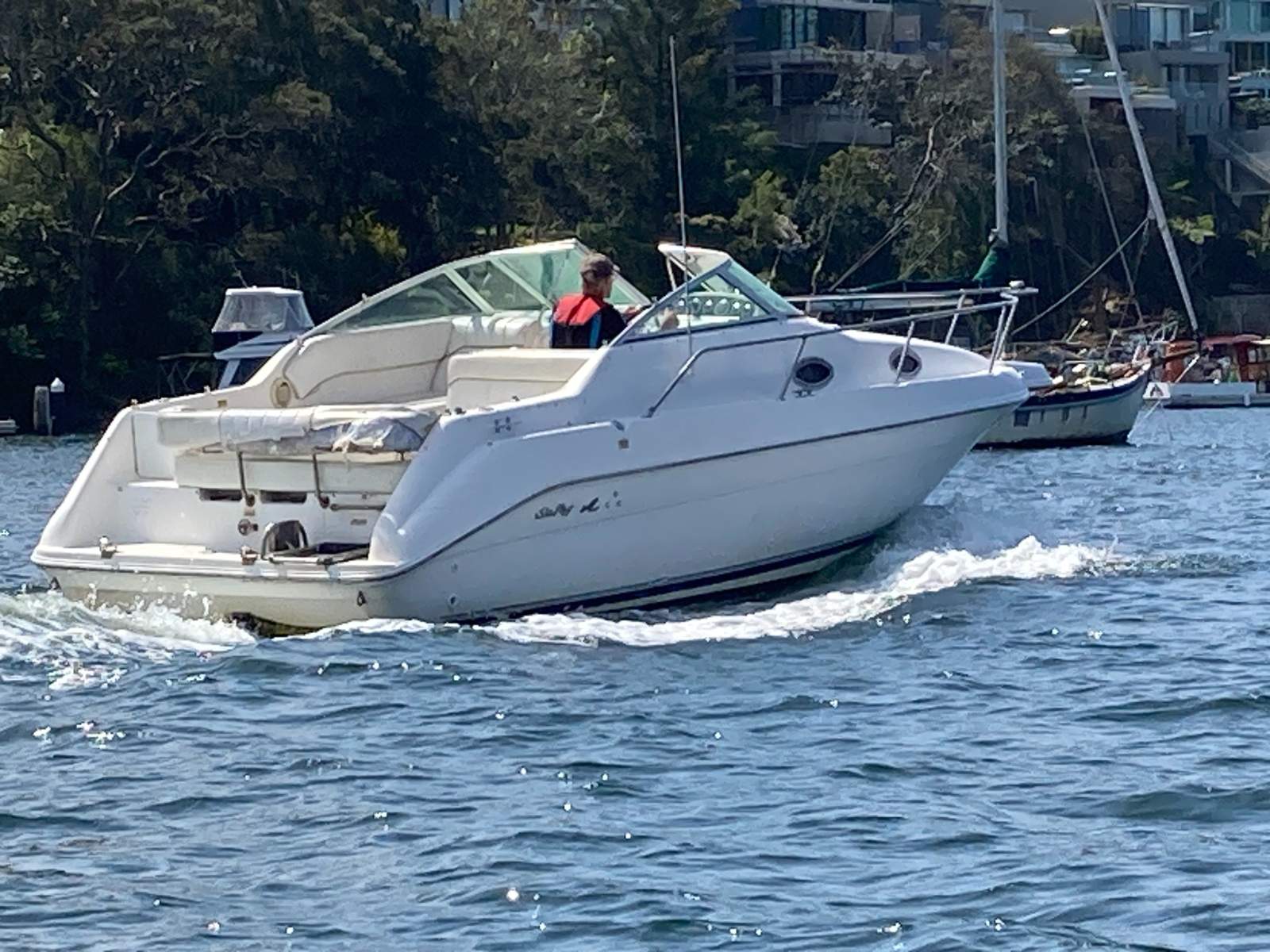 Sea Ray 250 DA Fun Fast Mooring Possible (Sydney Harbour)
