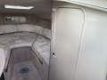 Sea Ray 250 DA Fun Fast Mooring Possible (Sydney Harbour)