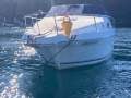Sea Ray 250 DA Fun Fast Mooring Possible (Sydney Harbour)