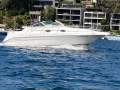 Sea Ray 250 DA Fun Fast Mooring Possible (Sydney Harbour)