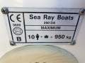 Sea Ray 250 DA Fun Fast Mooring Possible (Sydney Harbour)