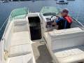 Sea Ray 250 DA Fun Fast Mooring Possible (Sydney Harbour)