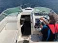 Sea Ray 250 DA Fun Fast Mooring Possible (Sydney Harbour)