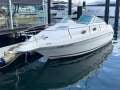 Sea Ray 250 DA Fun Fast Mooring Possible (Sydney Harbour)