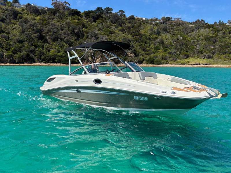 Sea Ray 290 Sundeck