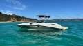 Sea Ray 290 Sundeck