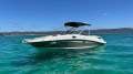 Sea Ray 290 Sundeck