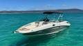 Sea Ray 290 Sundeck