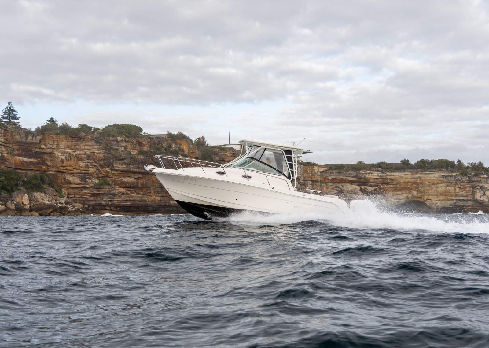 Robalo R305