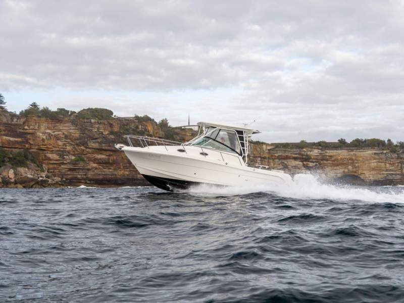 Robalo R305
