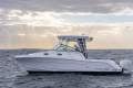 Robalo R305