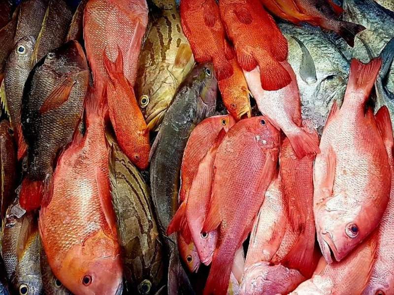 LS717 PCFL + L1(4), L2(4), RQ(4), C2, C3, C3