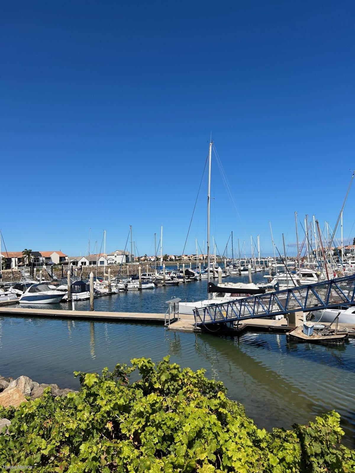 Premium 15mt single marina berth