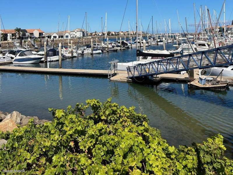 Premium 15mt single marina berth