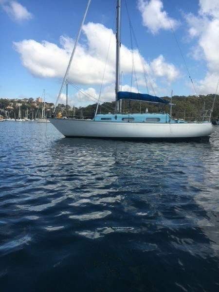 Currawong 30