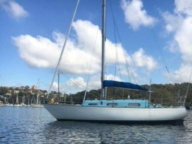 Currawong 30