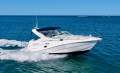 Mustang 3000 Sportscruiser