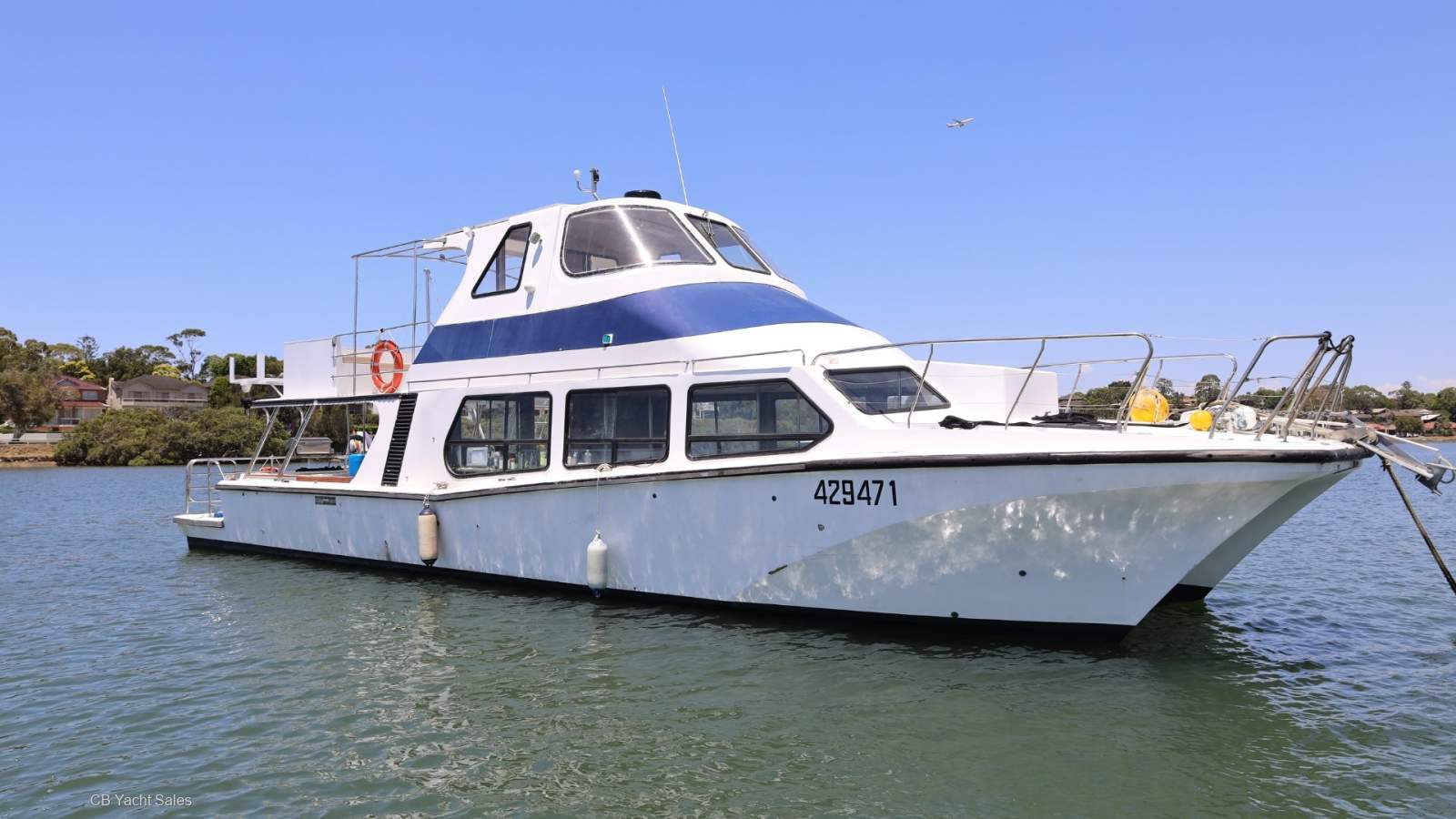 Cougar Cat 52 Charter Boat - AMSA Survey (offshore and inshore)