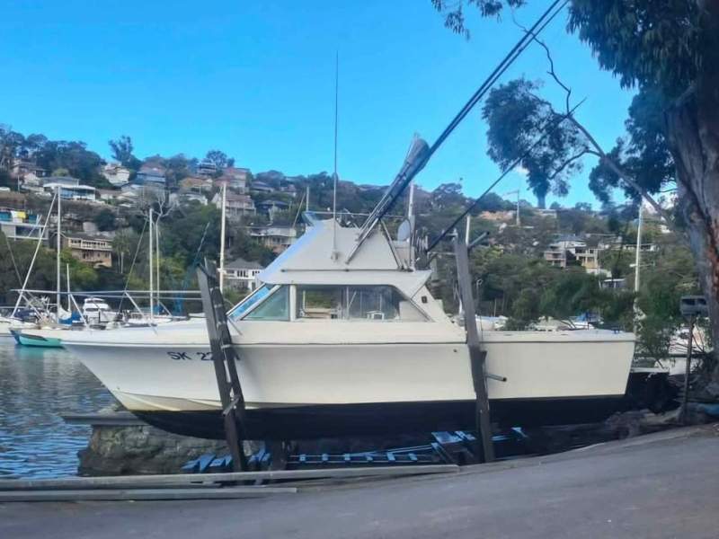 Bertram 25 Flybridge