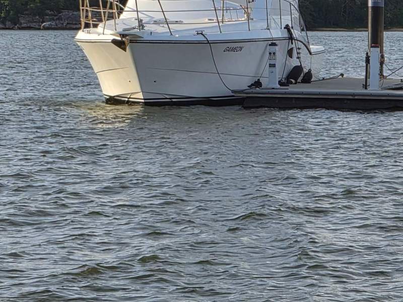 Johnson 50 Sportfisher