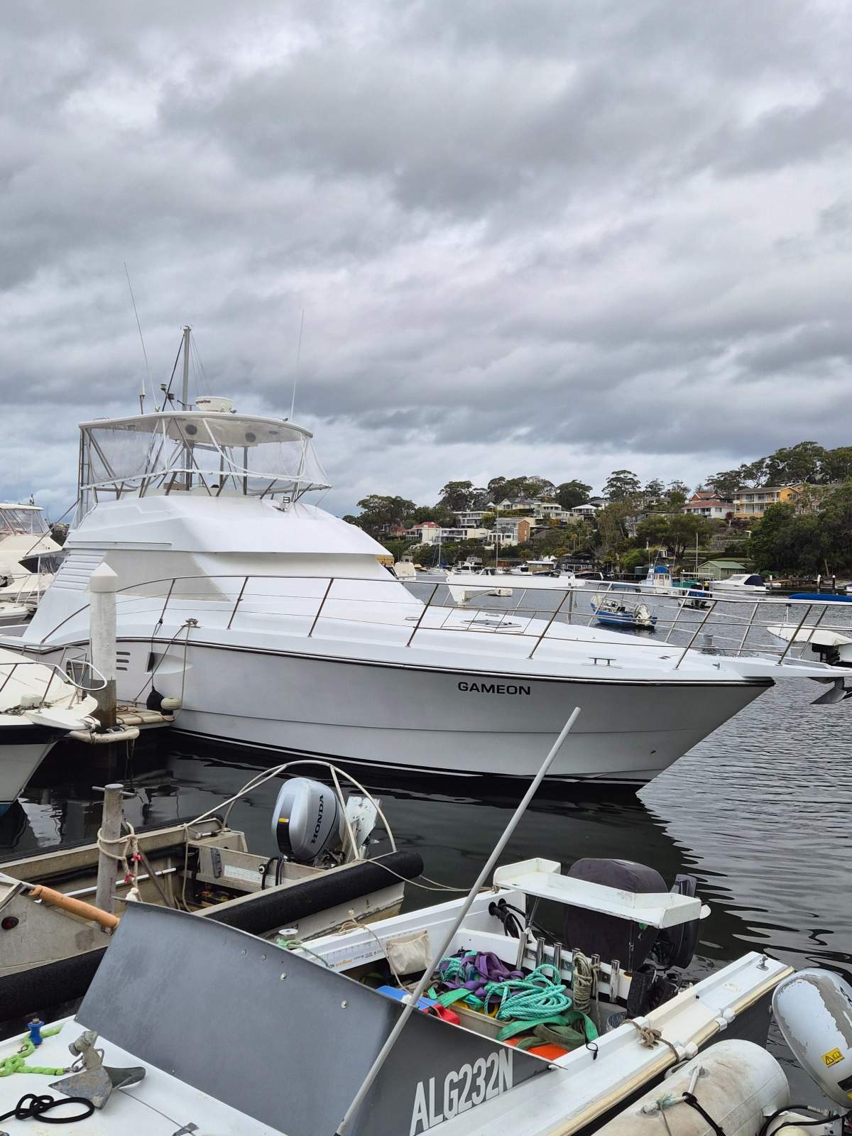 Johnson 50 Sportfisher