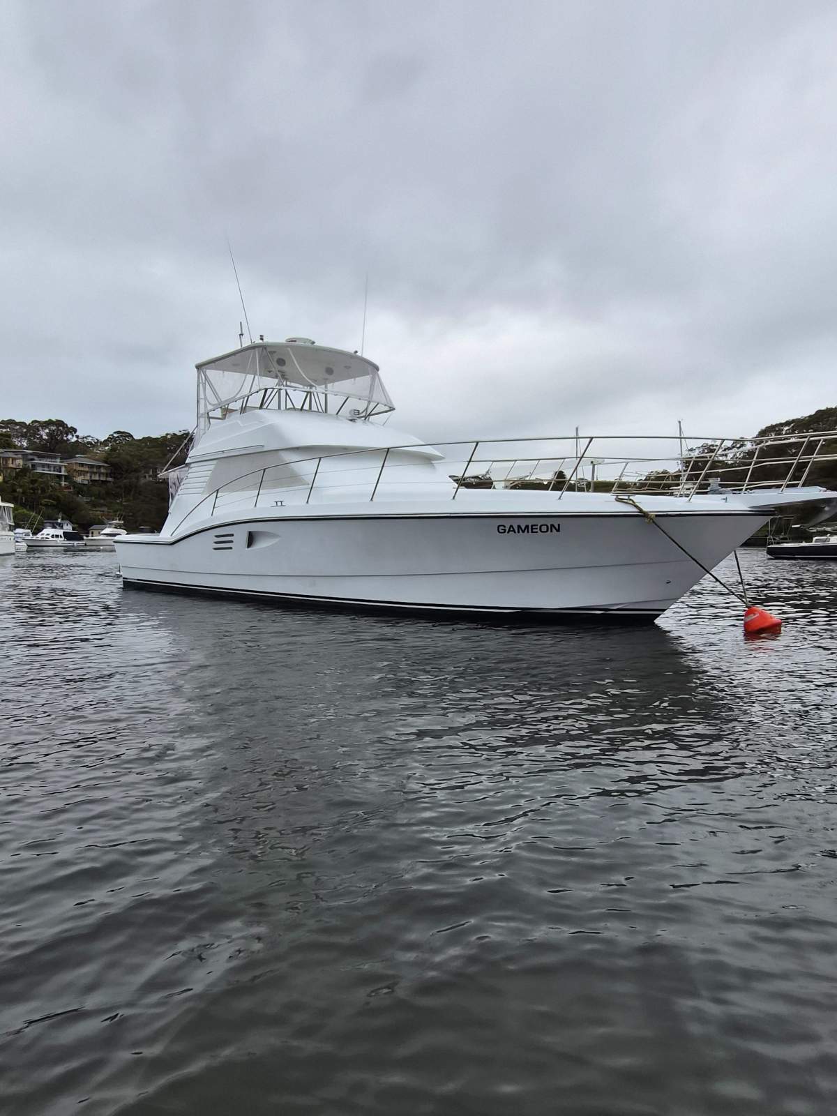 Johnson 50 Sportfisher