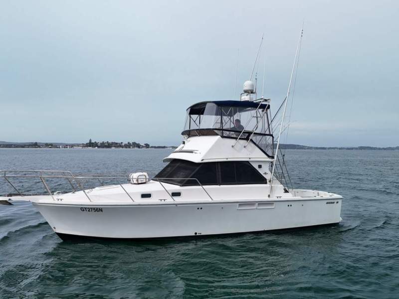Bertram 35 Flybridge