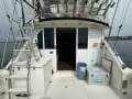 Bertram 35 Flybridge