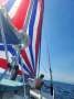 Crowther Buccaneer 36:Socked Spinnaker