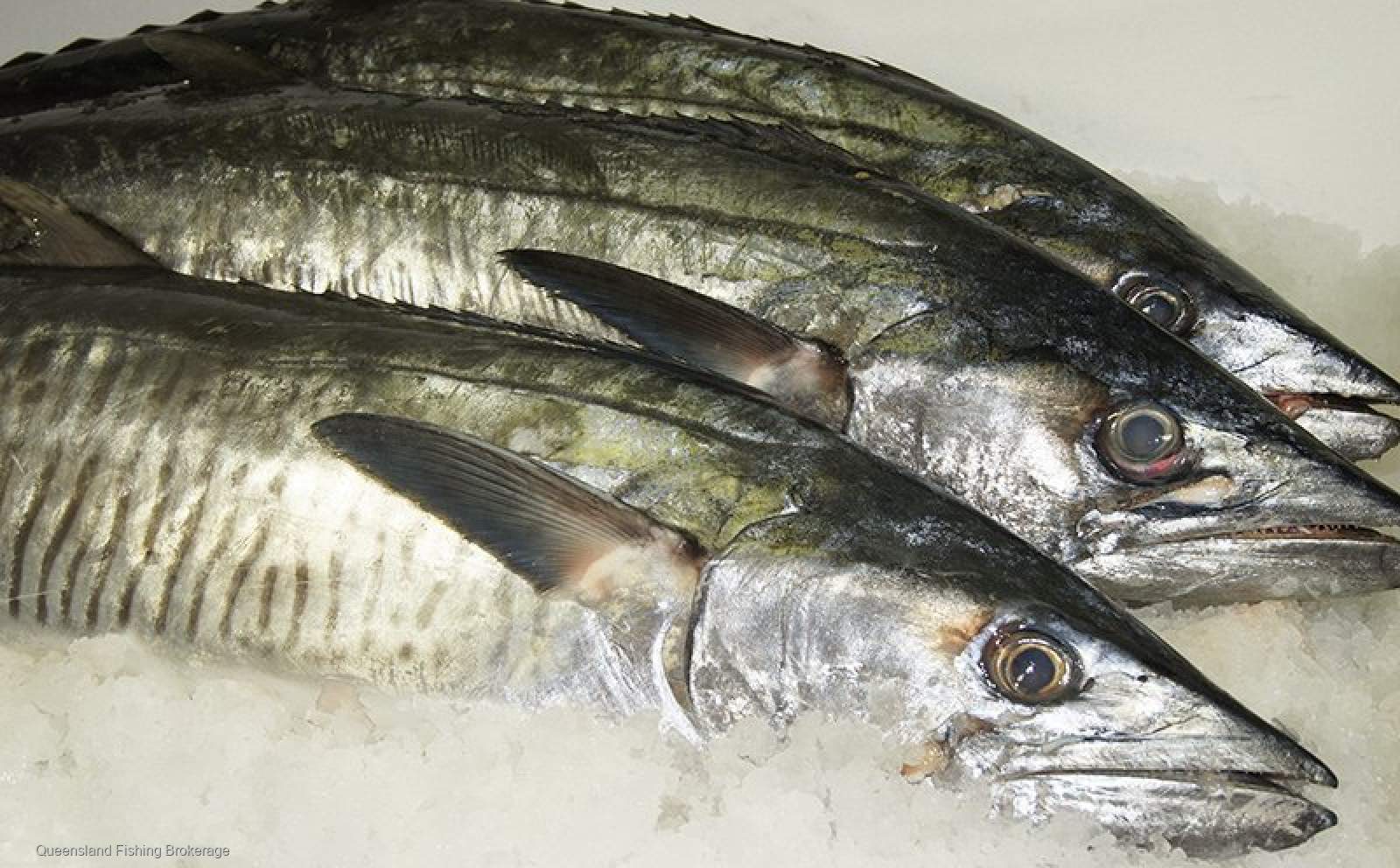 LS721 SM Tender For Sale