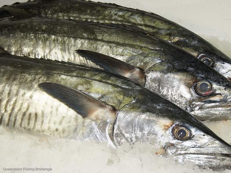 LS721 SM Tender For Sale