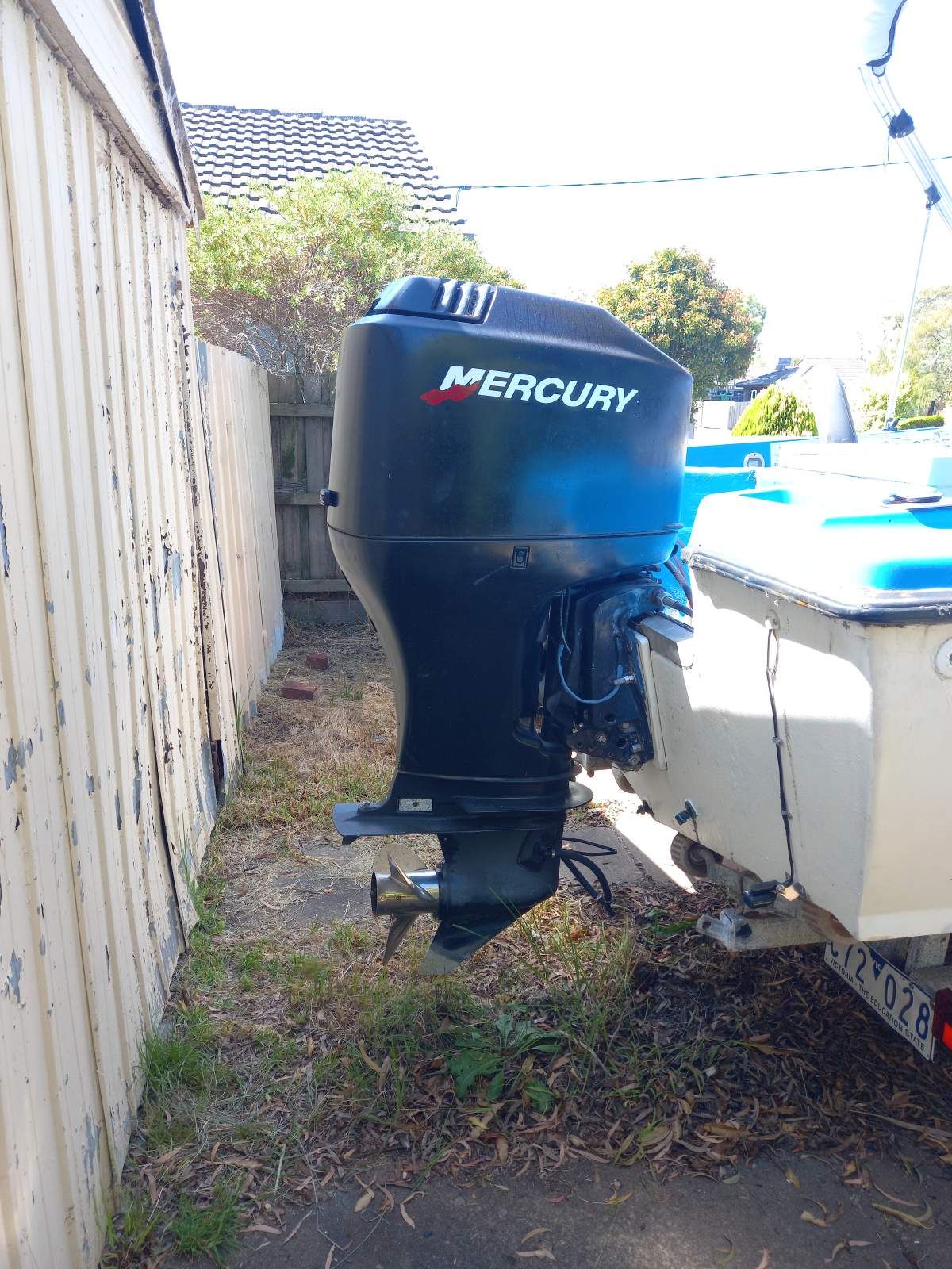 Caribbean Crestcutter