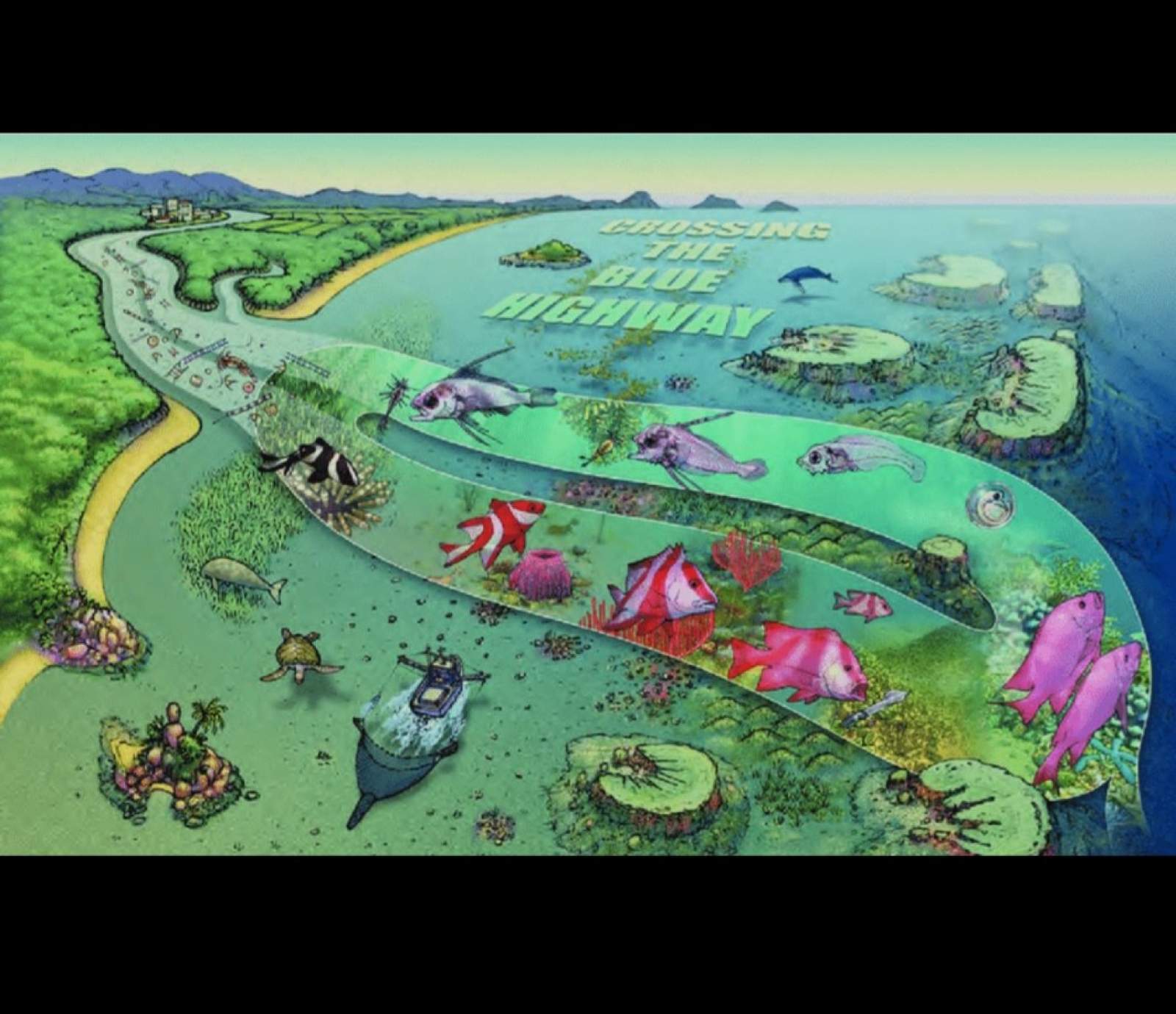 GBRMPA tourism permit 8 year 25pax