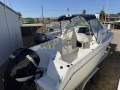 Sailfish 234WAC ultimate boat 3.2tone including trailer