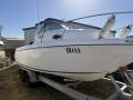 Sailfish 234WAC ultimate boat 3.2tone including trailer