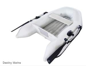 New Mercury 240 Dinghy