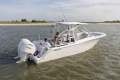 New Sea Fox 288 Traveler