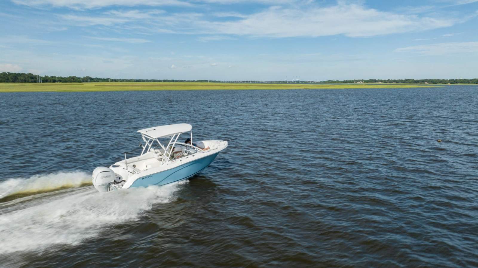 New Sea Fox 228 Traveler