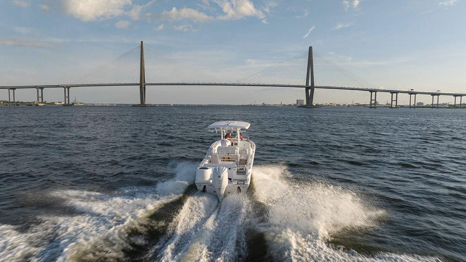 Sea Fox 248 Side Console