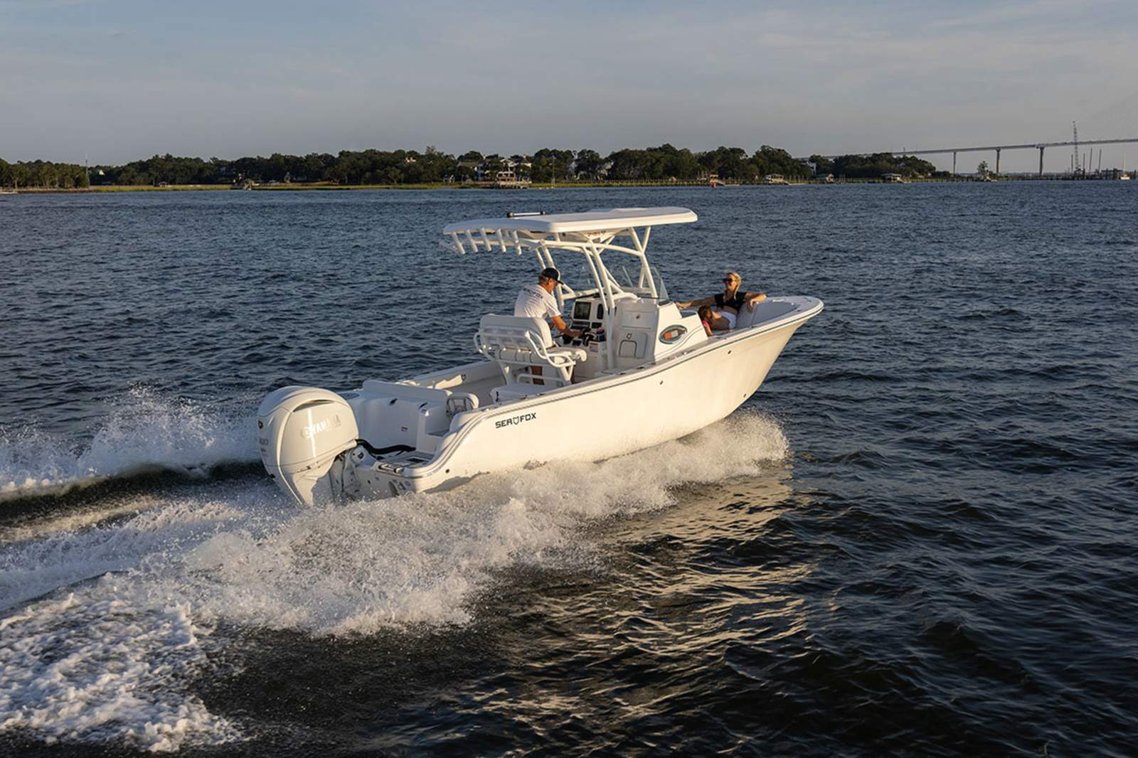 New Sea Fox 248 Side Console
