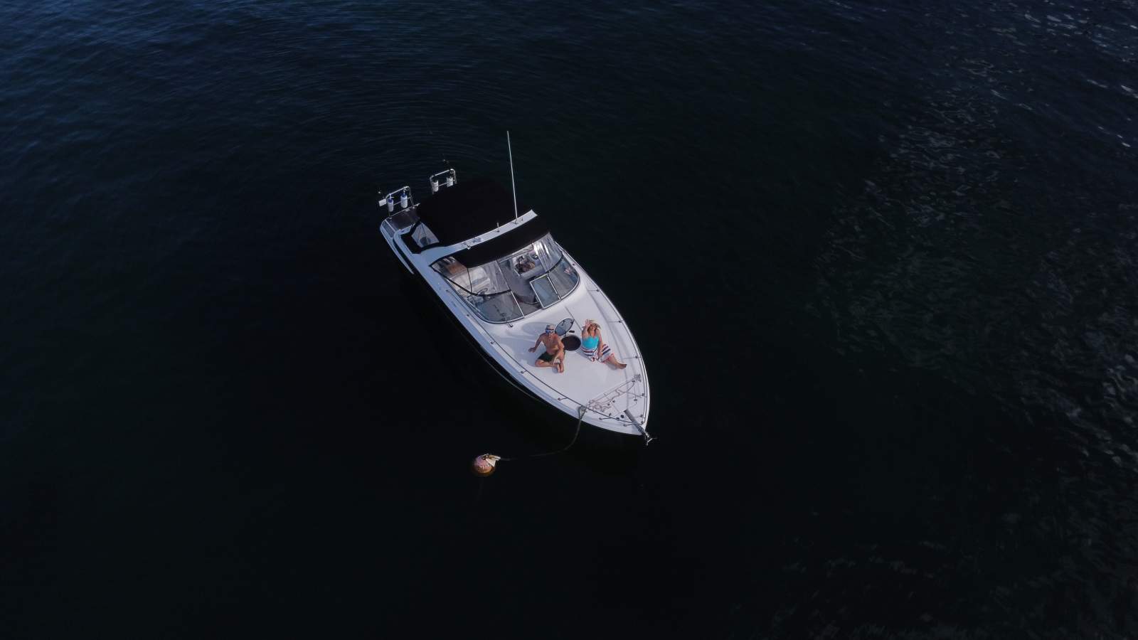 Regal 3350:Sydney Harbour made easy walk-on / walk-off boating with space to relax, swim and chill