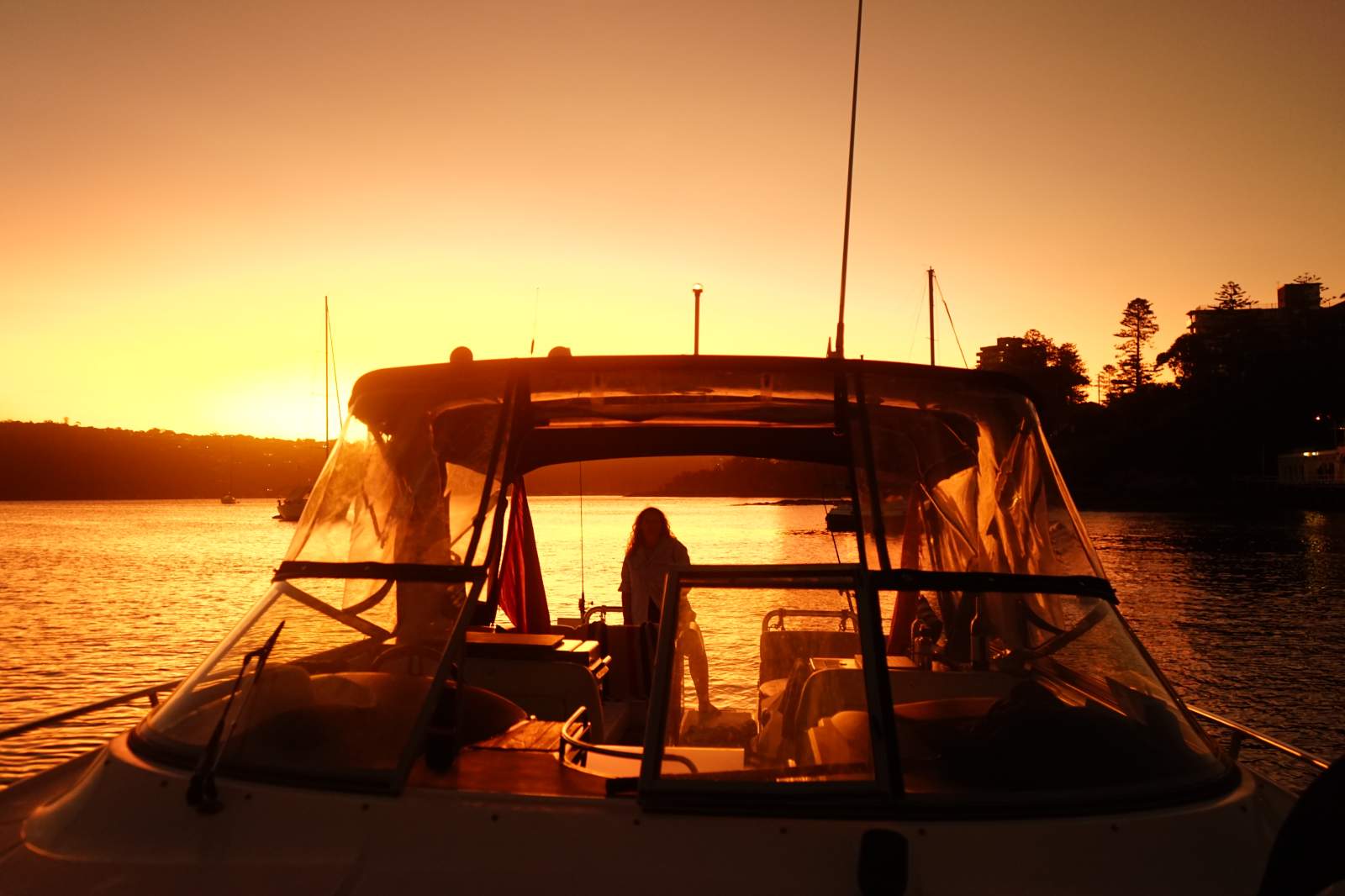 Regal 3350:Sydney Harbour evenings at their best