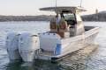 New Chris Craft Catalina 31